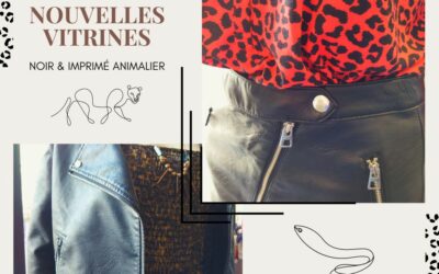 Nouvelles vitrines !